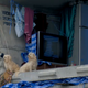 Illustration for article titled Flooded Thais Seek Refuge in Prefab Concrete Infrastructure